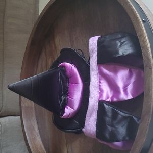 Witch dog costume . Hat and collar
